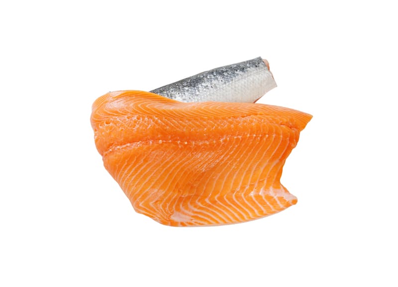 Fatty Fish, Guide to Feeding Raw Fish, Raw Diet Ingredients