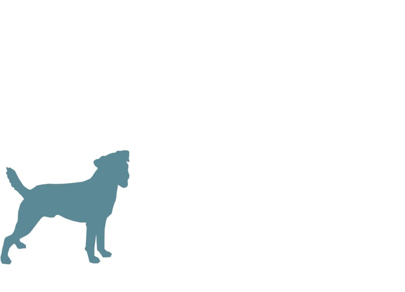 Calorie Requirements for Puppies, Puppy Nutrition, Canine Nutrition