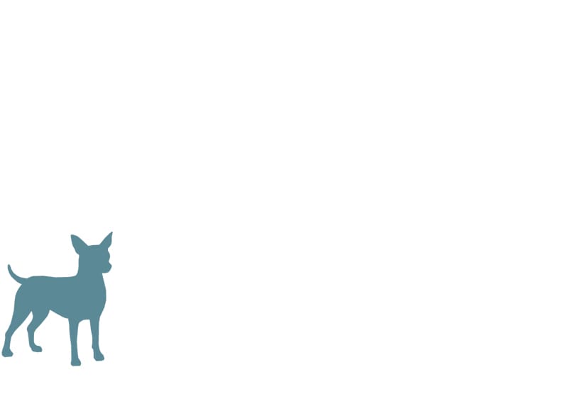 Calorie Requirements for Puppies, Puppy Nutrition, Canine Nutrition