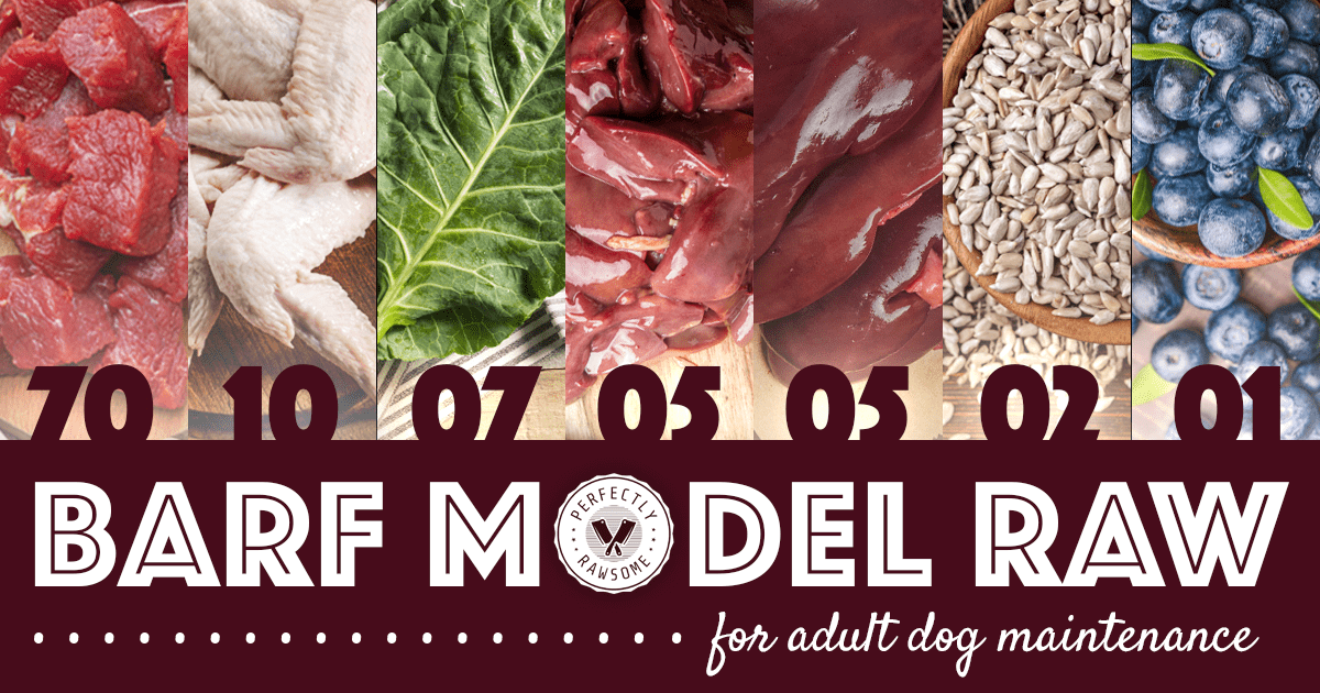 Raw Feeding Diet Types, Raw Feeding Meal Plan, PMR, BARF, Keto