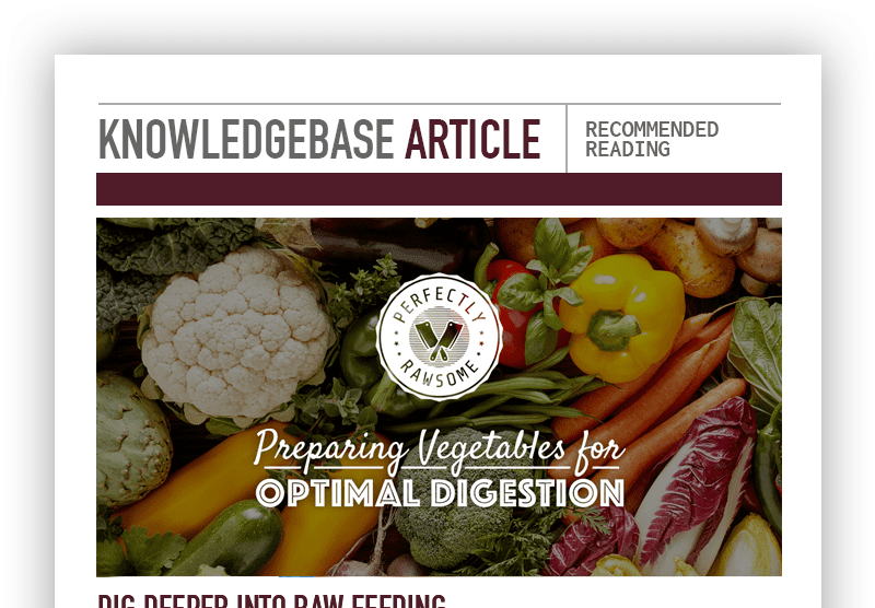 Raw Feeding Guidelines for Pregnant & Lactating Dogs, Canine Nutrition