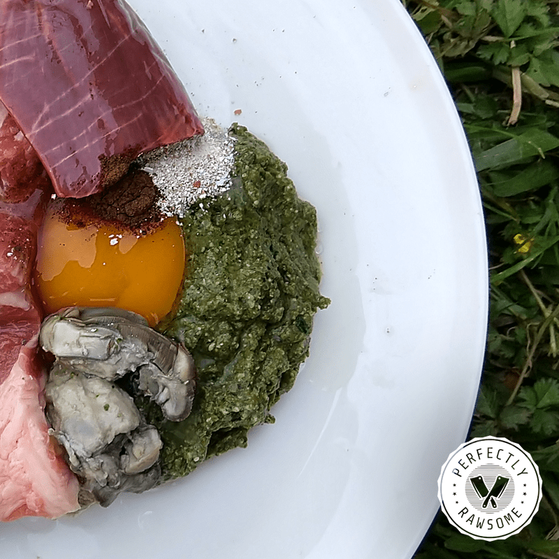 Raw NRC Balanced Meal Closeup Perfectly Rawsome