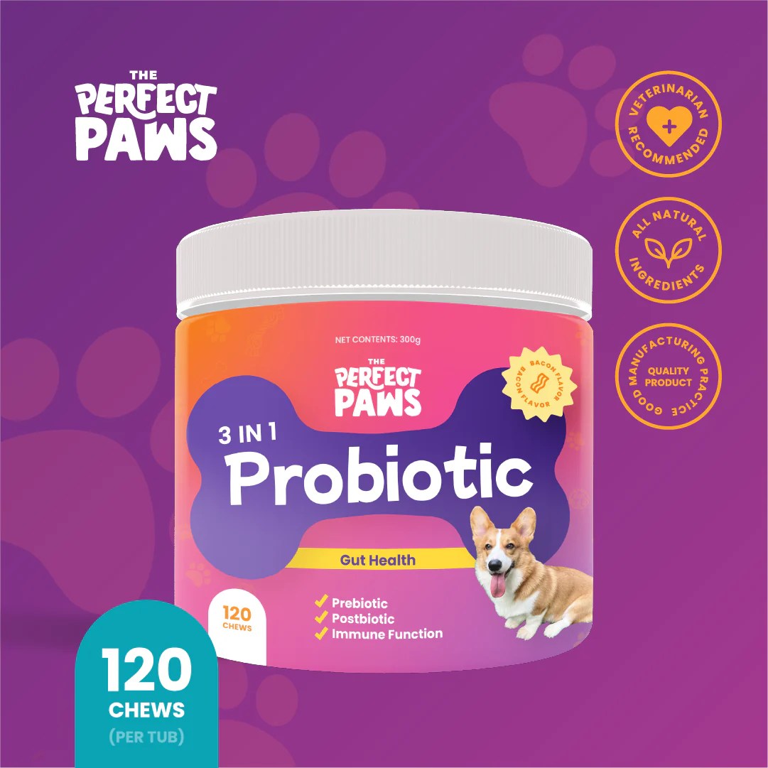 The Perfect Paws 3in1 Probiotic For healthy tummies, strong immune