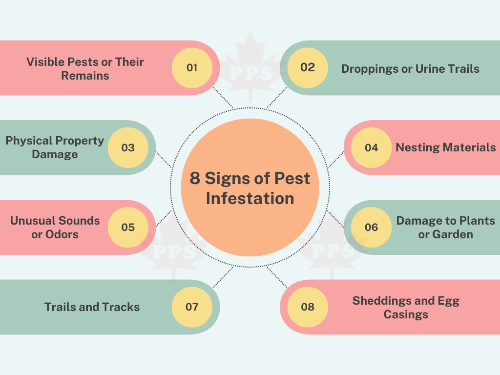 8 Signs of Pest Infestation You Shouldn't Ignore