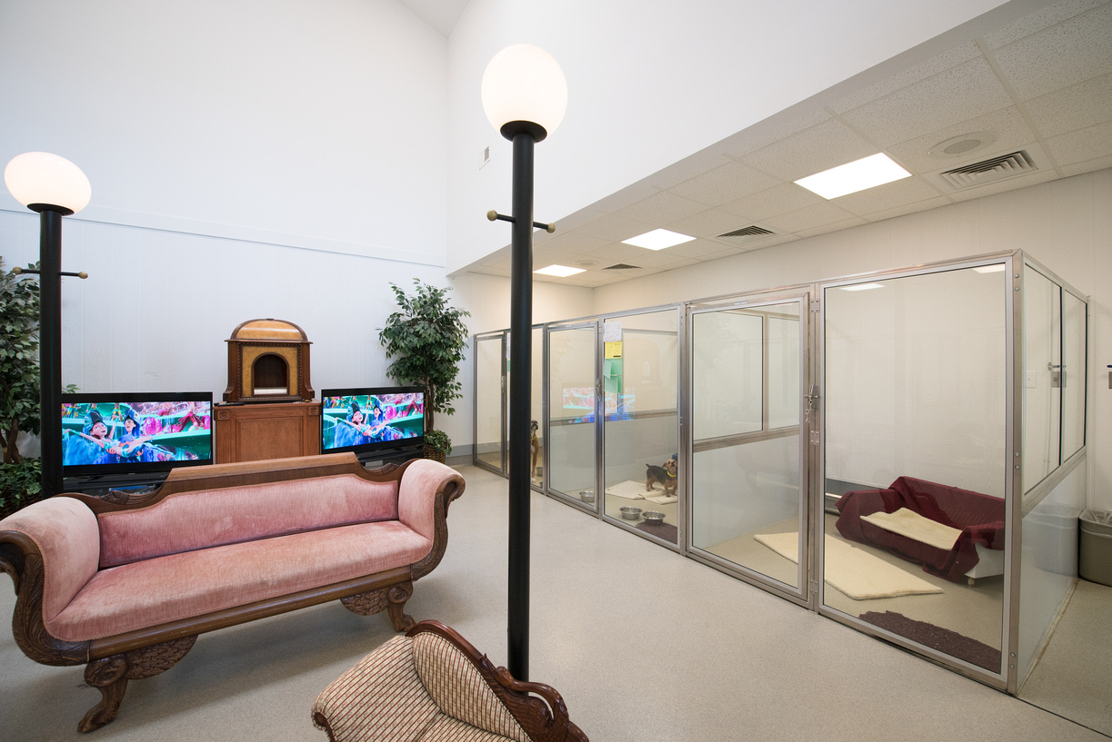 Pet Care Facility with StateOfTheArt Technology Perfect Pet Resort