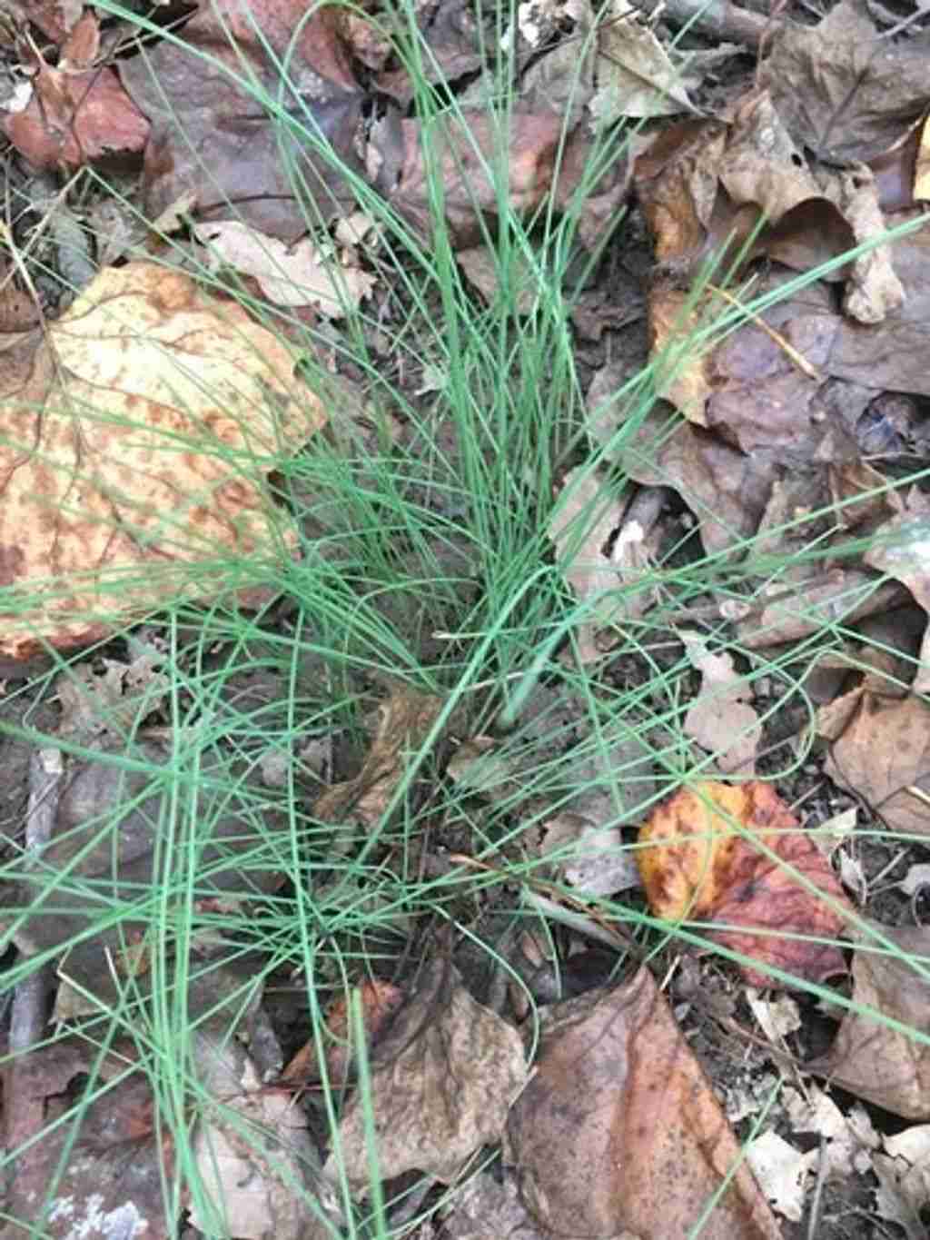 Can Chlorinated Pools Lead To Skin Rashes? Pool Perfect Repairs