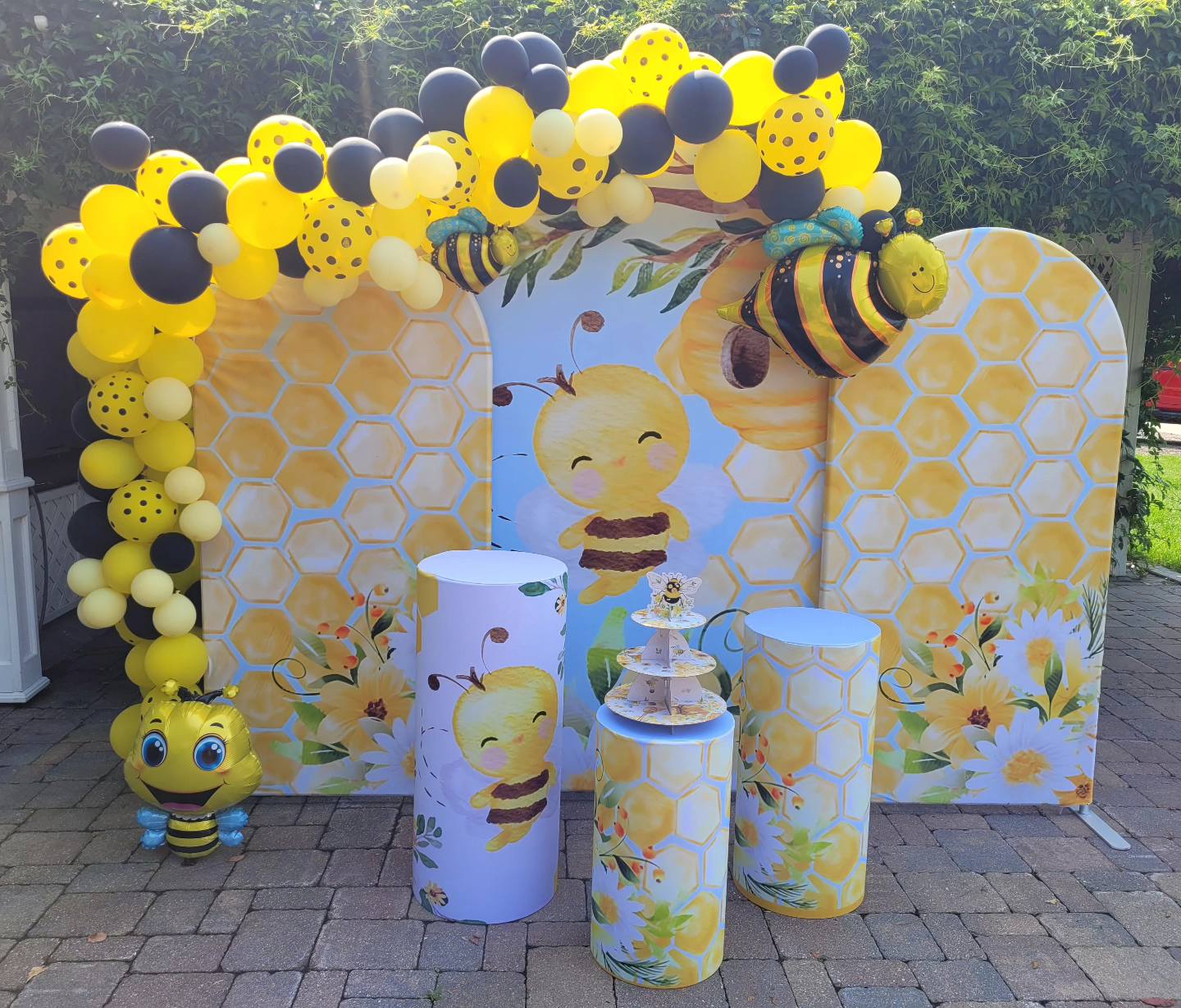 Party Backdrops Winnipeg