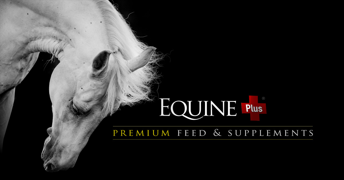 Equine Plus® Performance Supplements for Horses