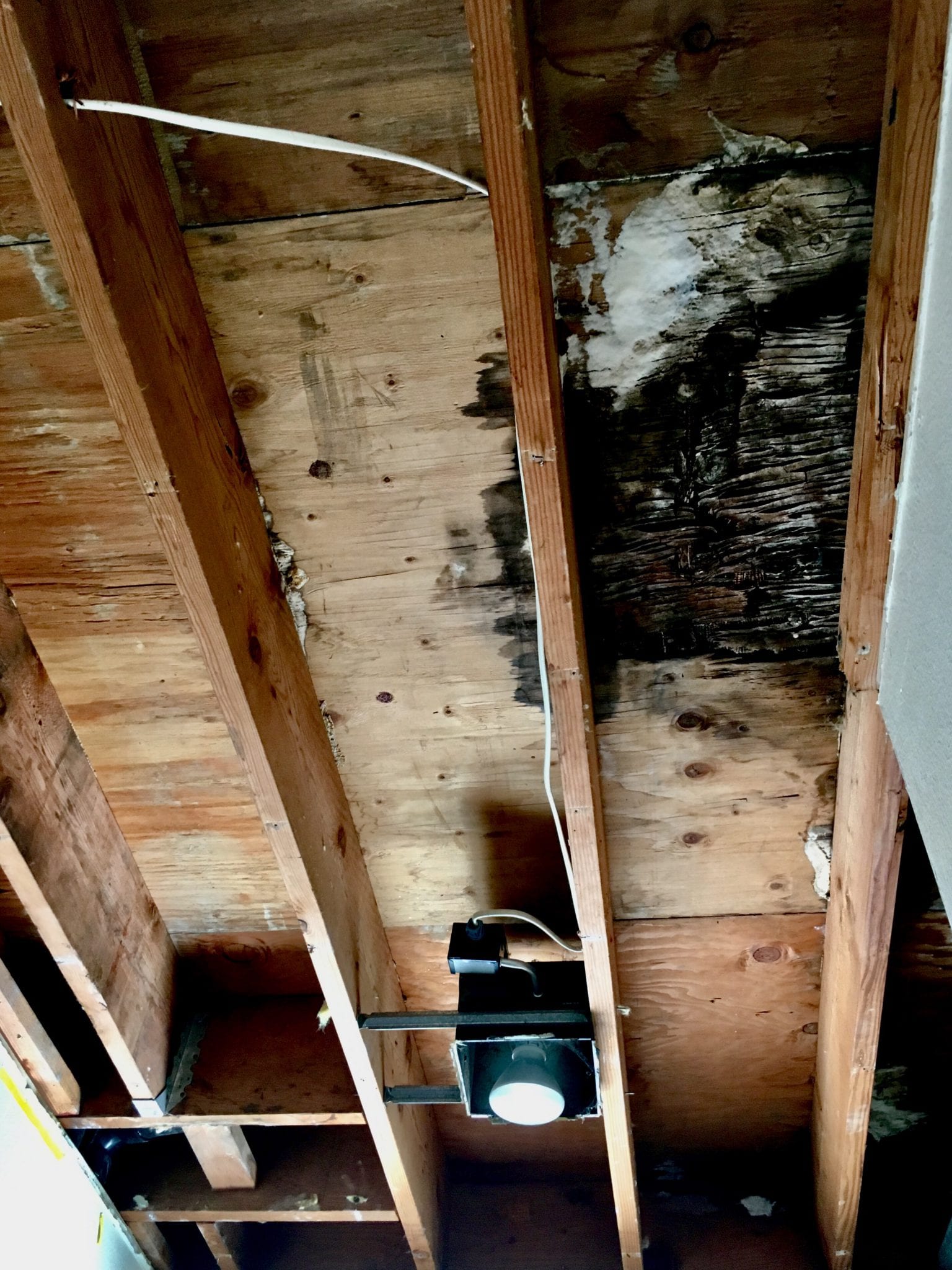 Is Roof Leak Damage Covered By Insurance? Performance Adjusting