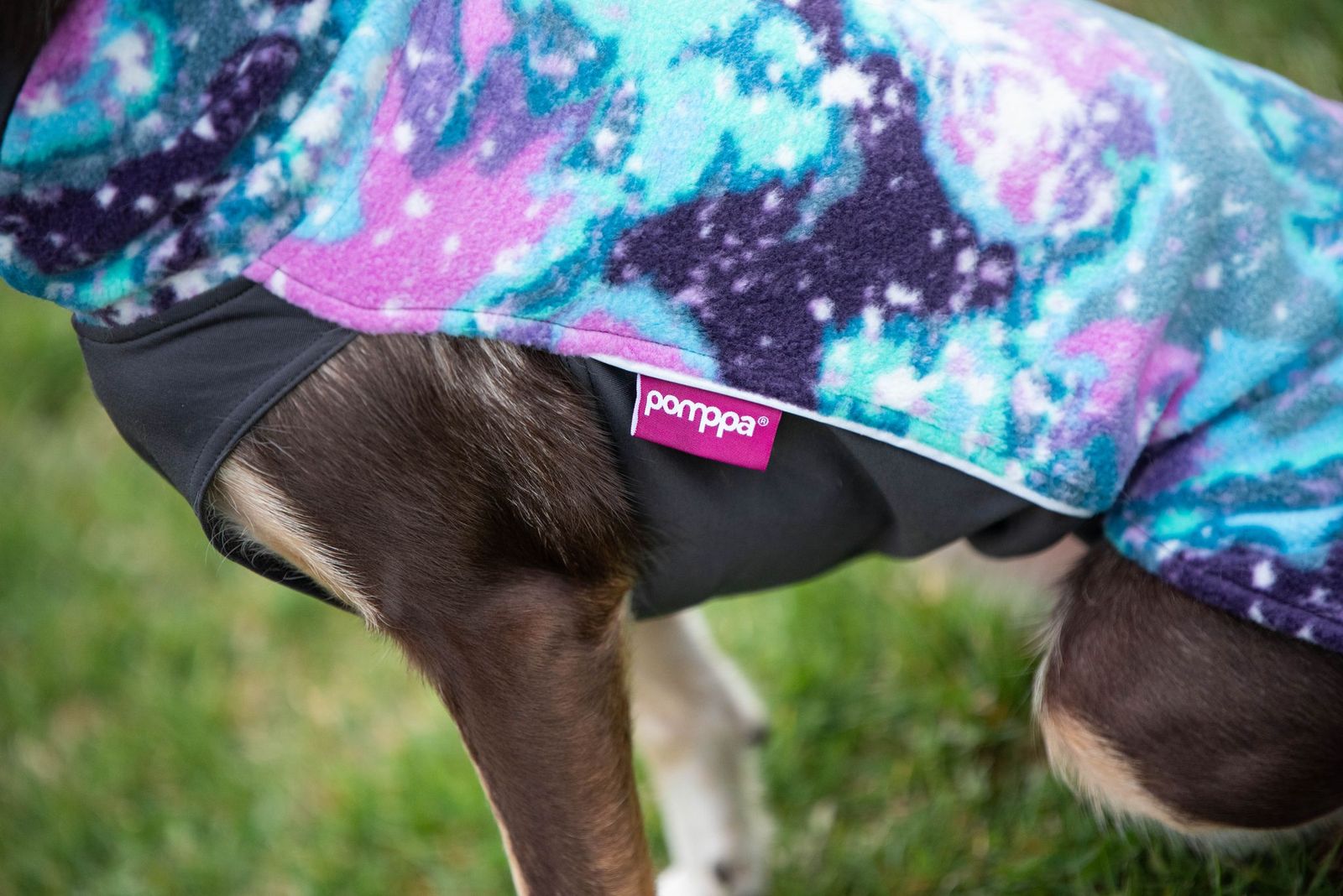 Pomppa Jumppa Performance Dog