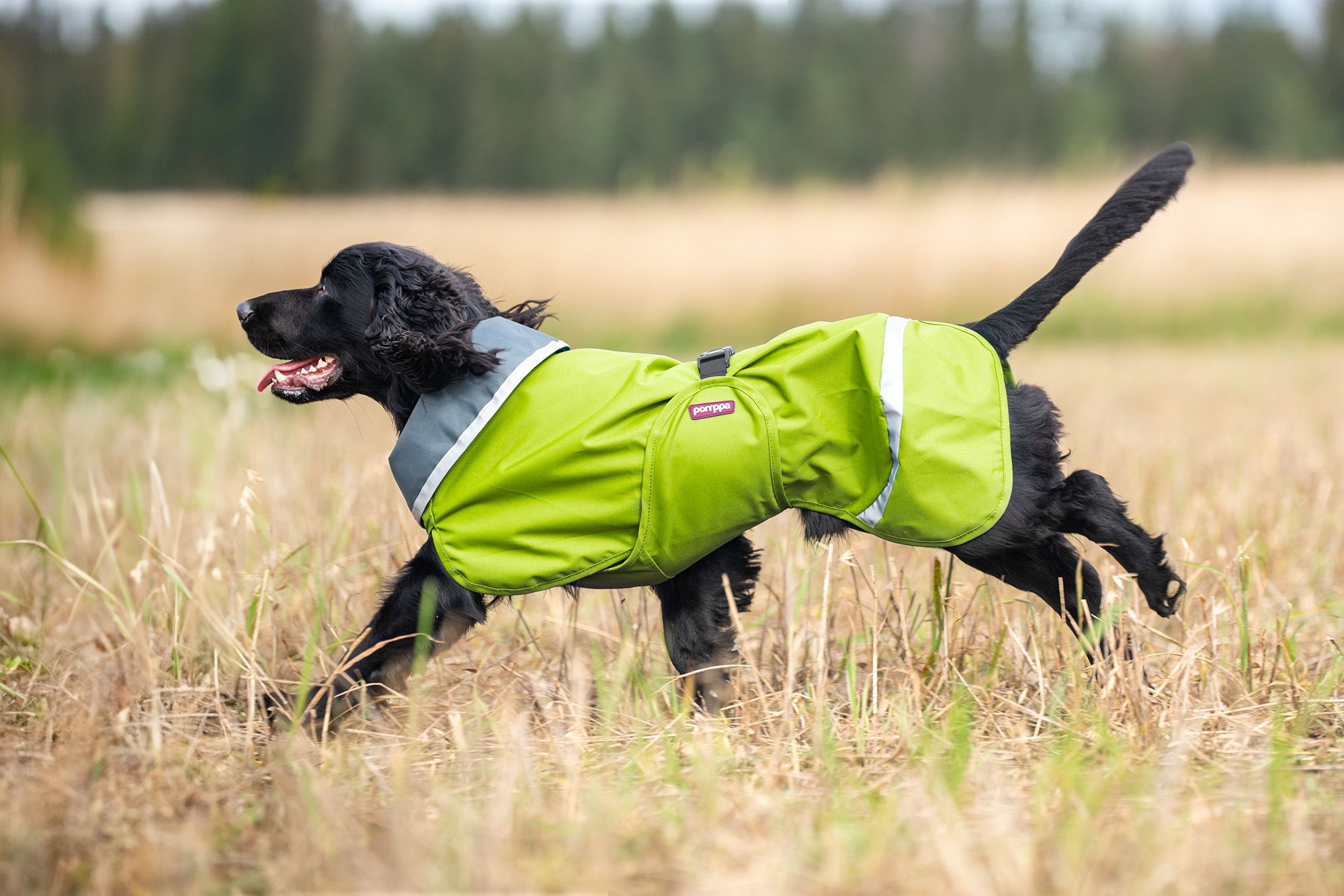 Pomppa Sade Waterproof Dog Jacket Performance Dog