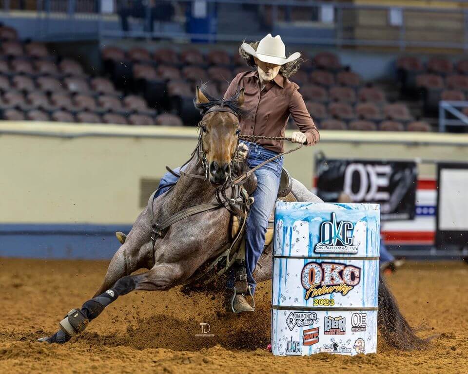 Equine Mortality Coverage Performance Equine Insurance