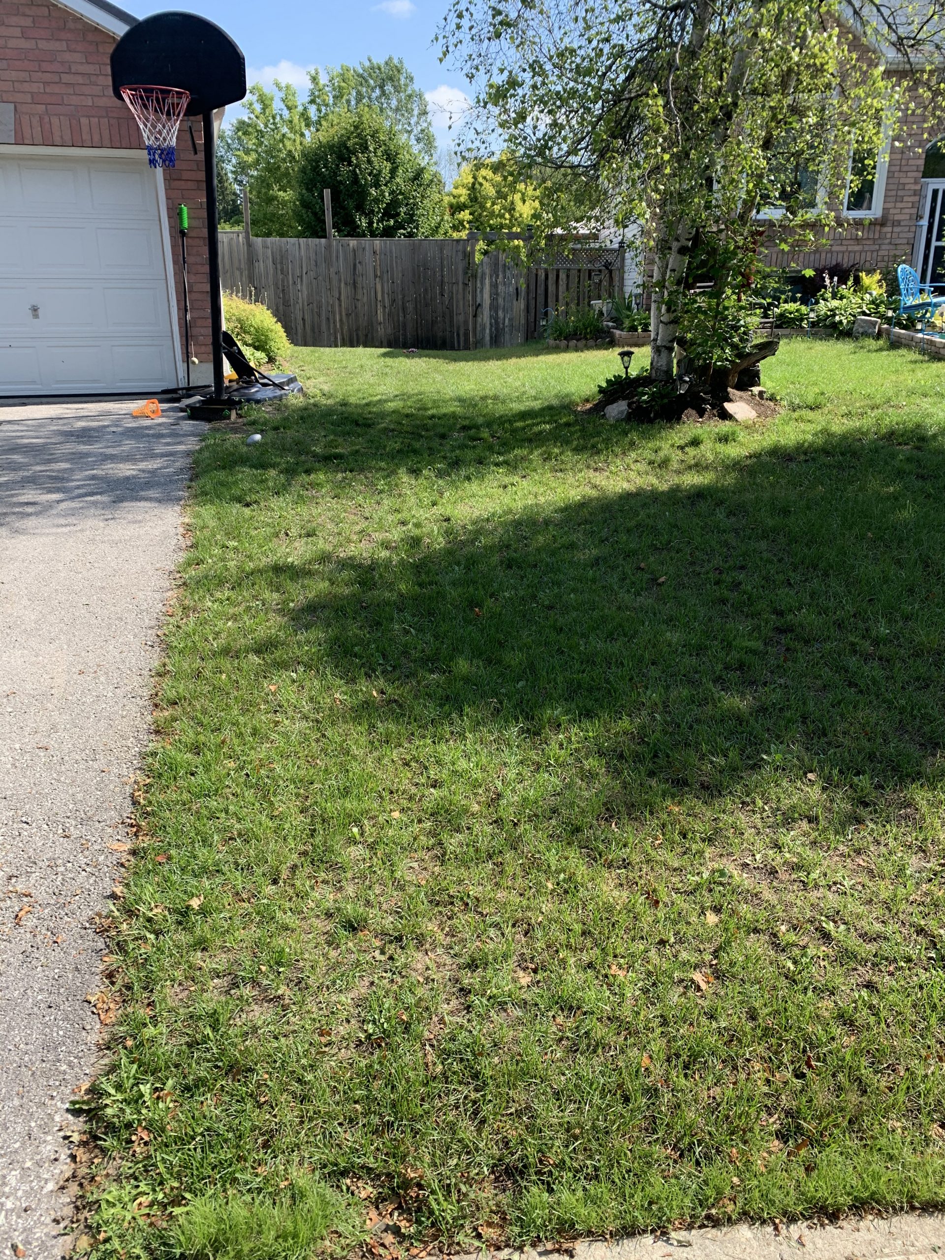 Fiesta ™ Weed Control Effectiveness Performance Lawn Care