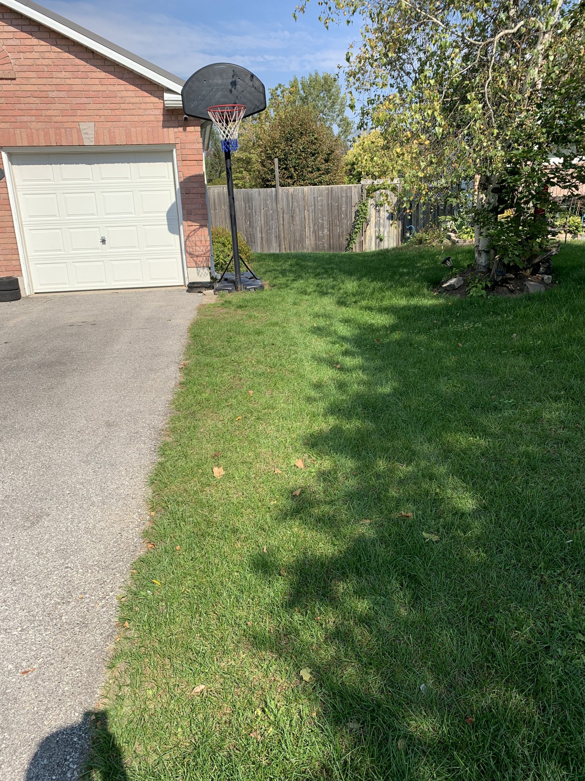 Fiesta ™ Weed Control Effectiveness Performance Lawn Care