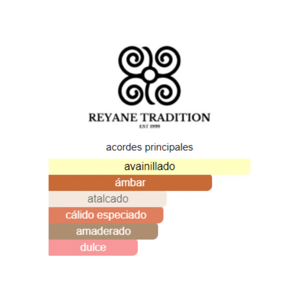 Perfume Reyane Tradition Elsatys Xplore 970 ml Eau de Parfum