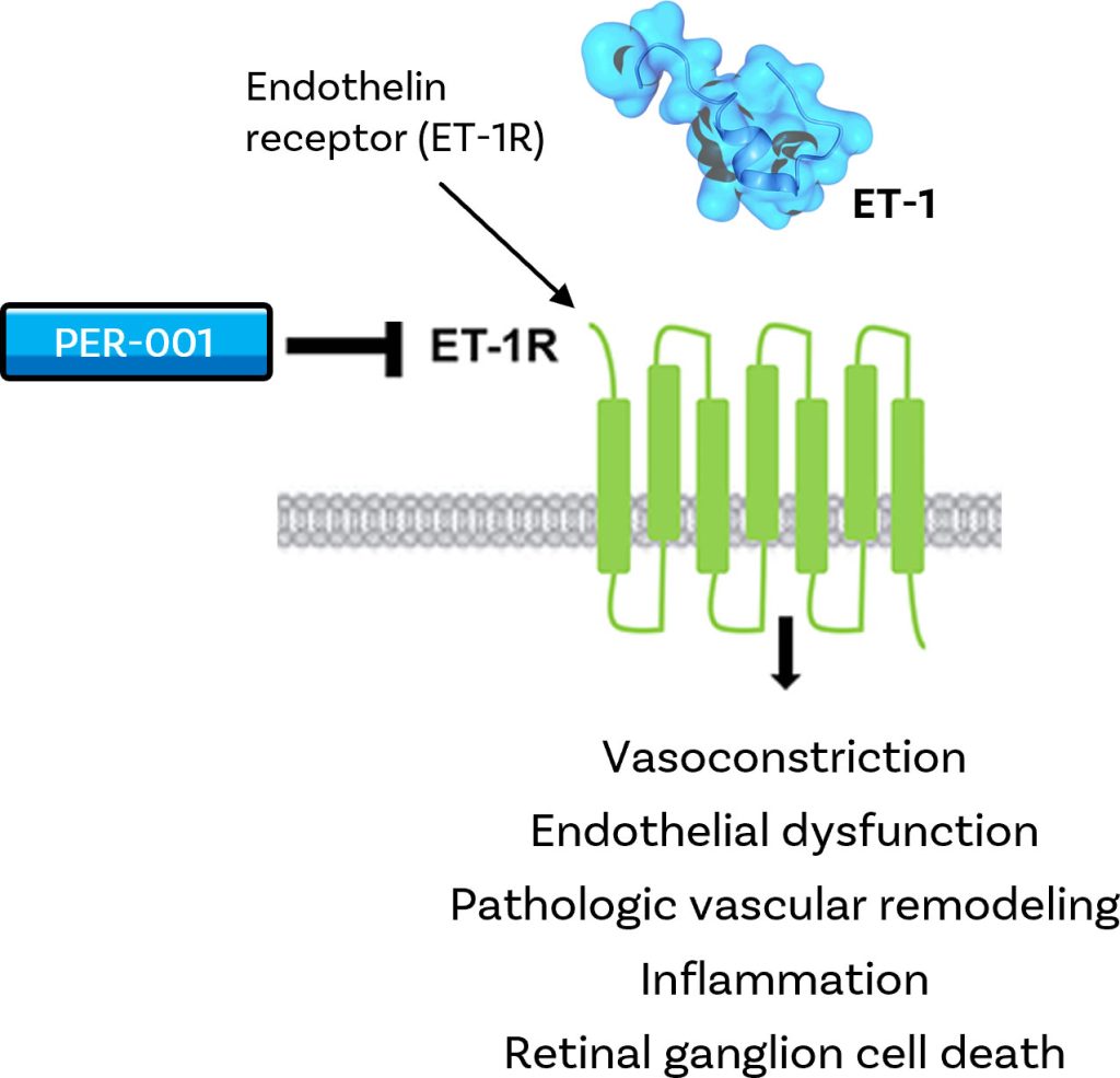 Our Approach Perfuse Therapeutics