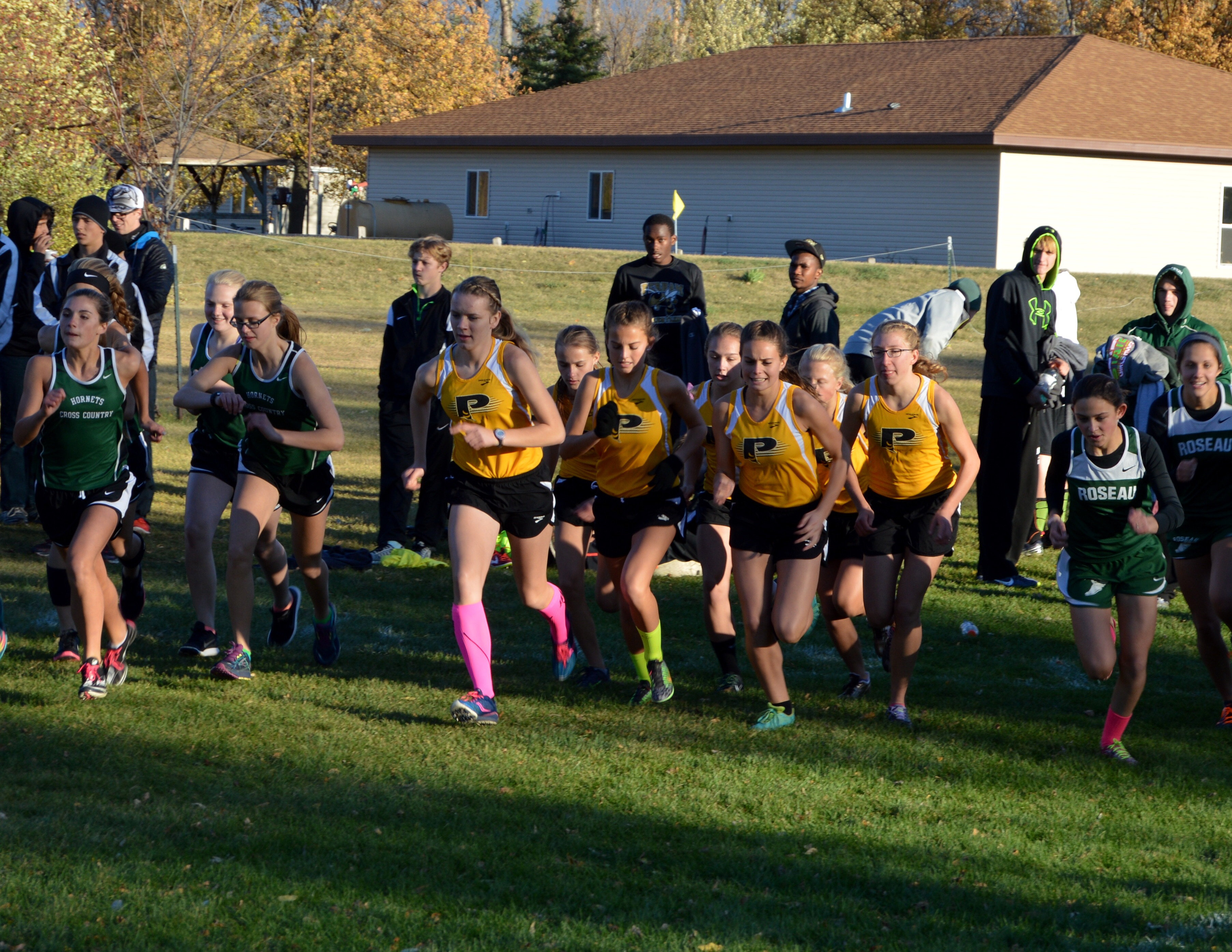 Cross Country Coaches’ Preseason Rankings Class A PerhamDent Public