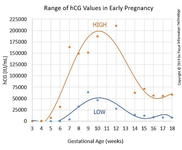 NEW! Hcg-levels-after-miscarriage-chart