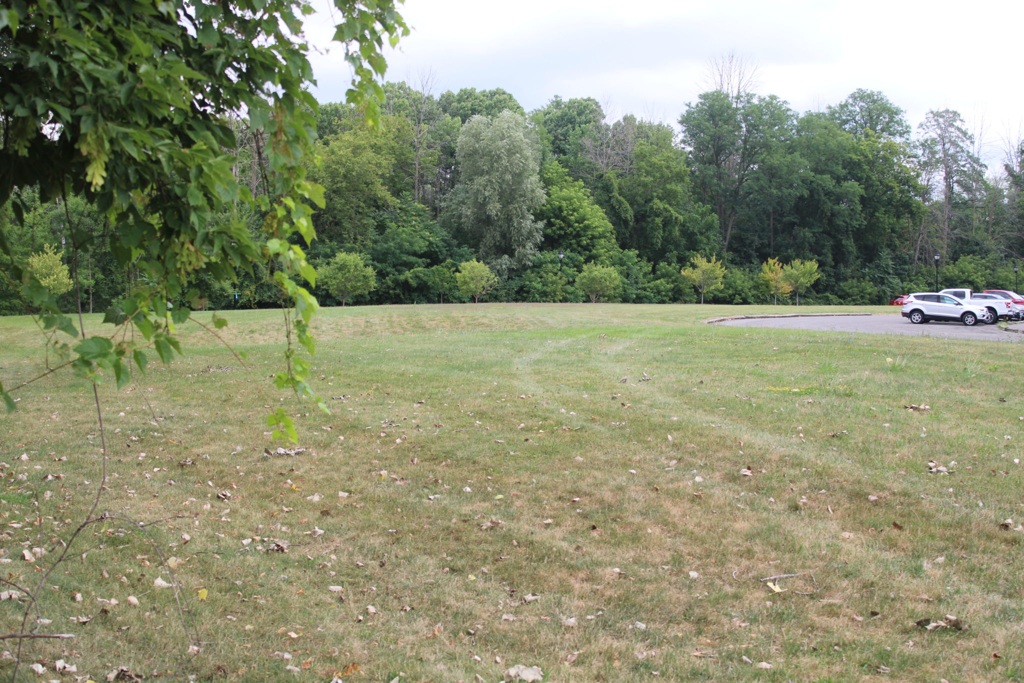 Perinton Skatepark Town of Perinton
