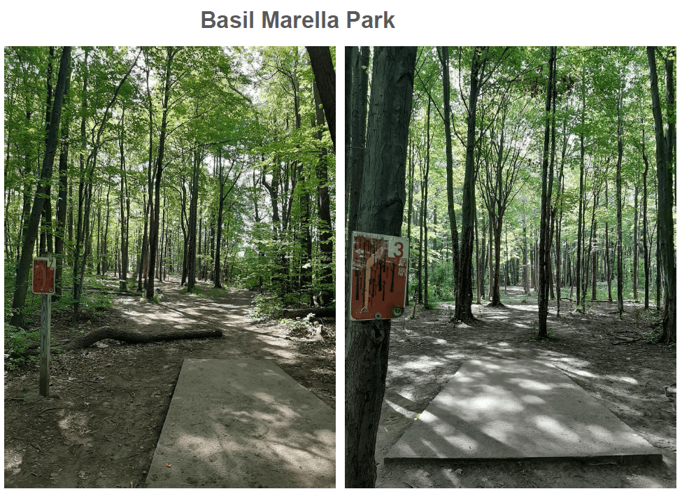 Disc Golf Course in Howell Road Park East Town of Perinton