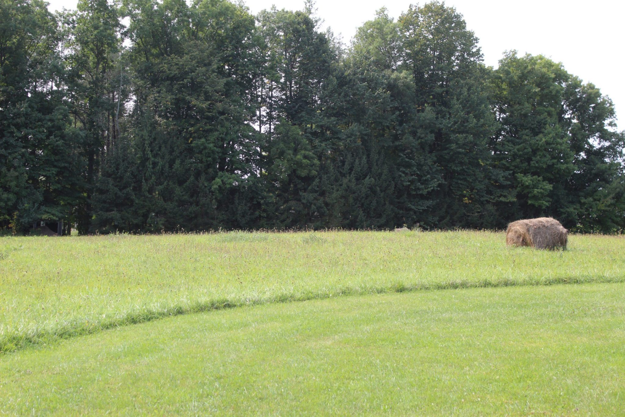 White Brook Nature Center Town of Perinton