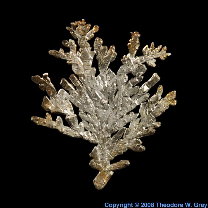 Dendritic crystal, a sample of the element Silver in the Periodic Table