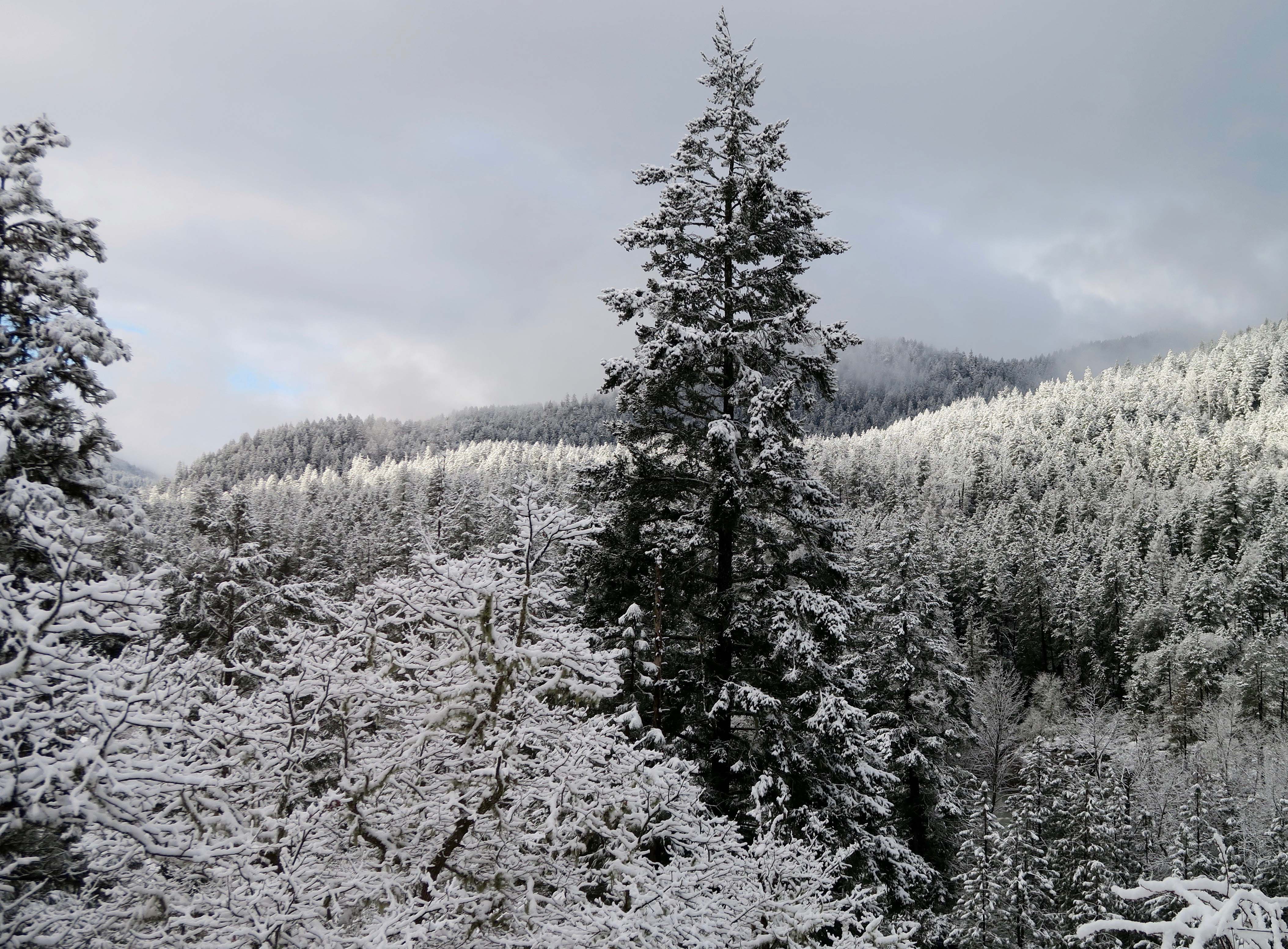 Snow on the Siskiyou Pass Wandering through Time and Place
