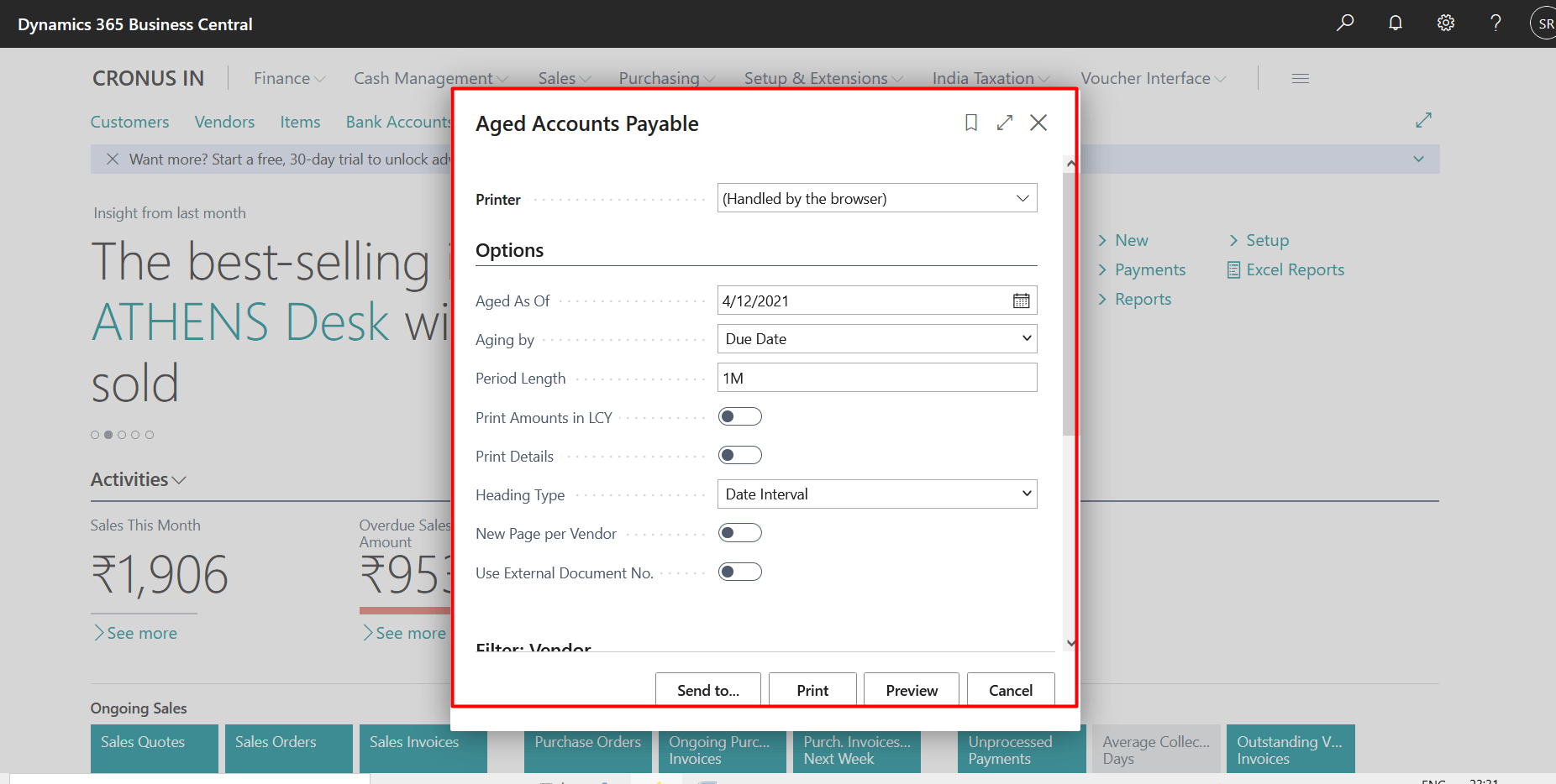Business Central Purchase & Sales Reports