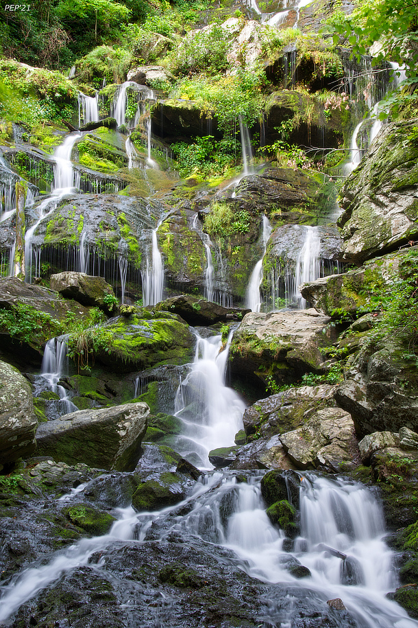 Catawba Falls Perkins Designs