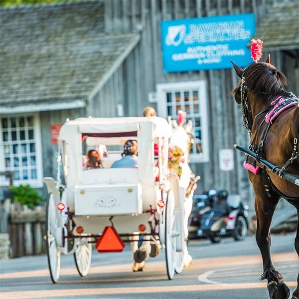 mackinac island lilac festival 2023 Lilac Festival on Mackinac Island