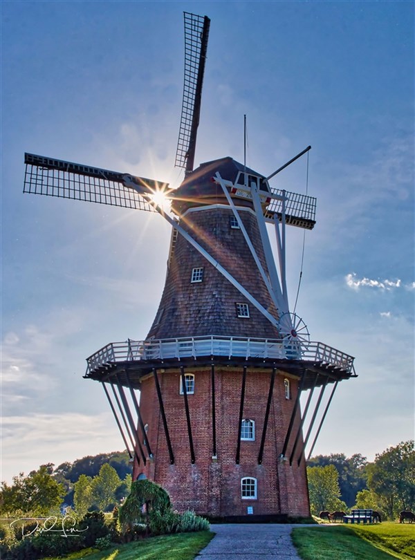 tulip festival 2023 new jersey Holland Michigan Tulips