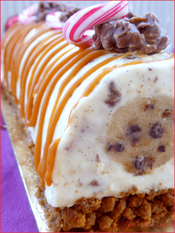 buche de noel facile et rapide sans cuisson