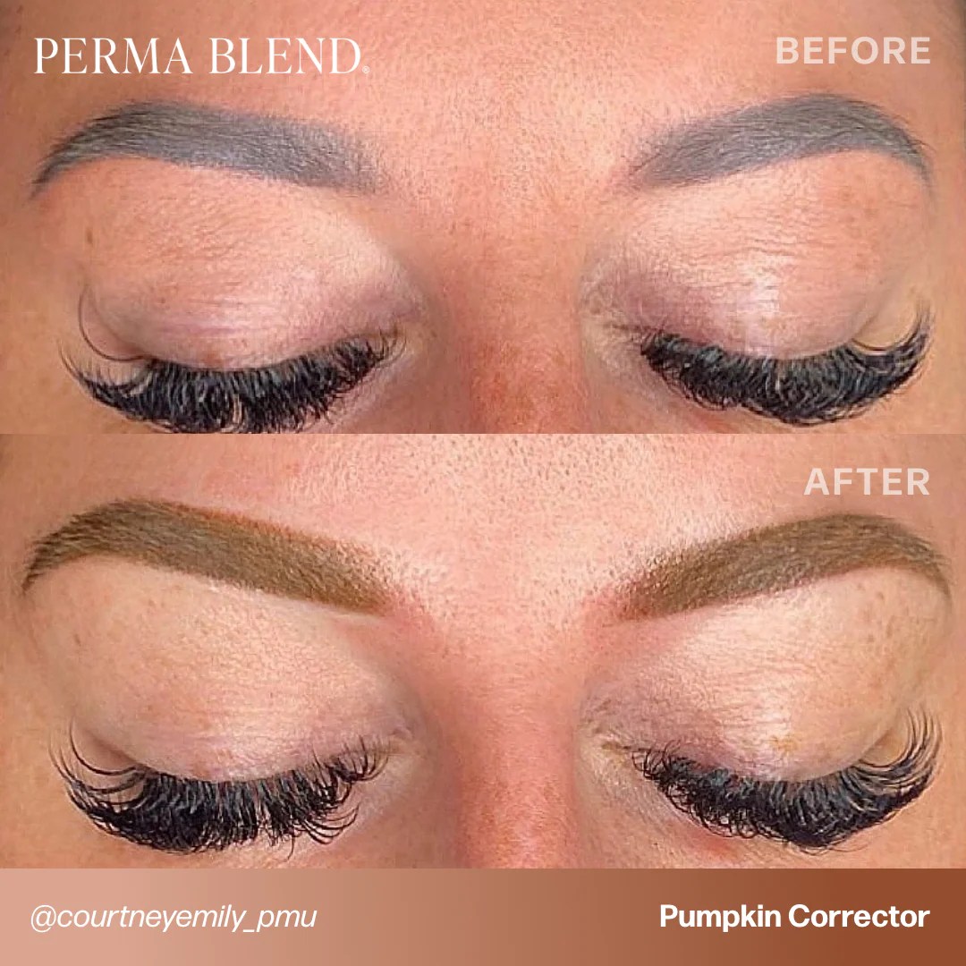 Pumpkin Corrector Perma Blend Pigments Perma Blend