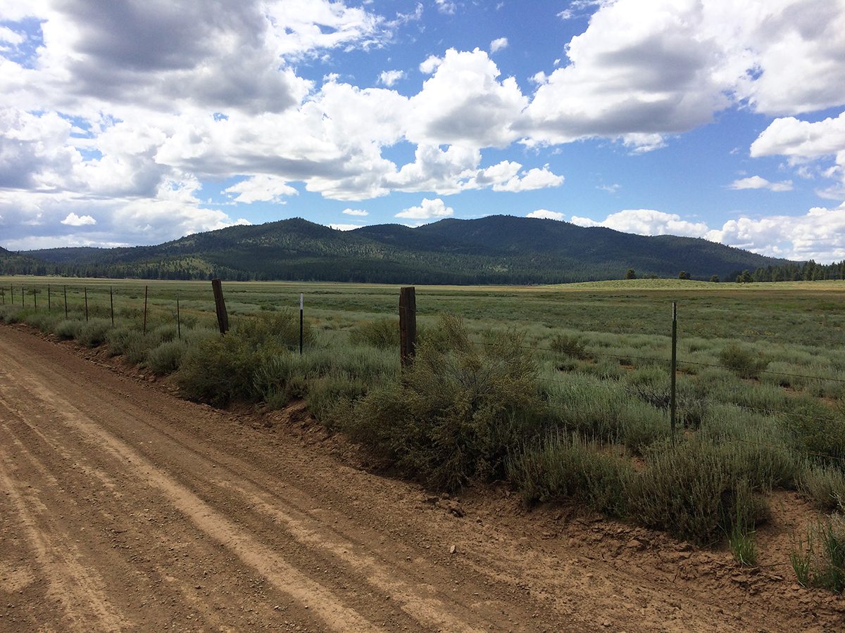 How To Survive Your First Year Developing Land into a Homestead or Farm