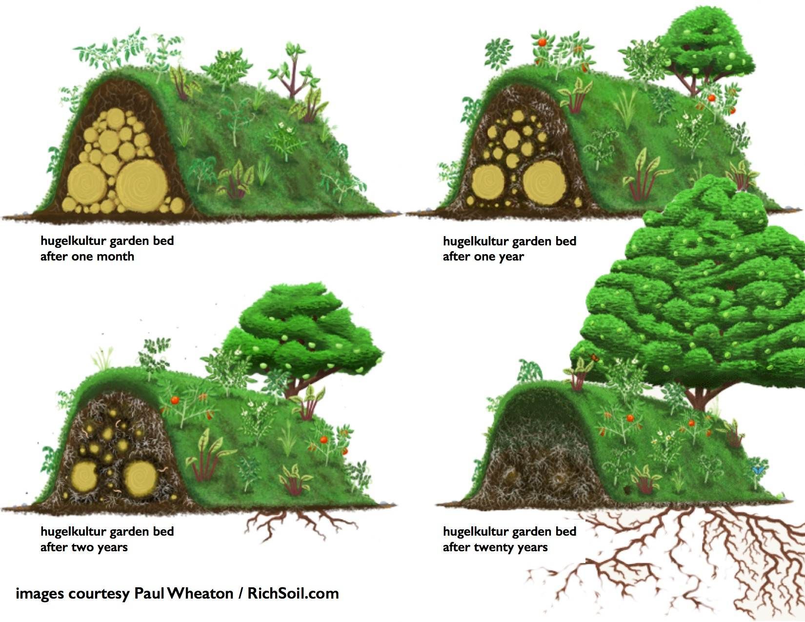 hugel Permaculture Apprentice