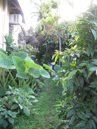 Permaculture Cairns Series 2019 Permaculture Cairns