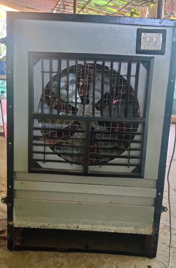 Versatility of Vetiver Grass Learn How to Grow & Use this Ancient