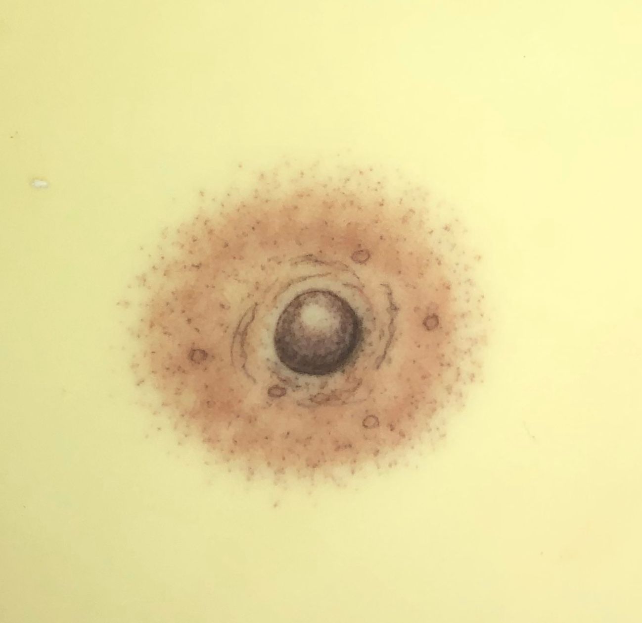 3D in 1, 2, 3, Nipple Tattooing Permanent Makeup Products LLC