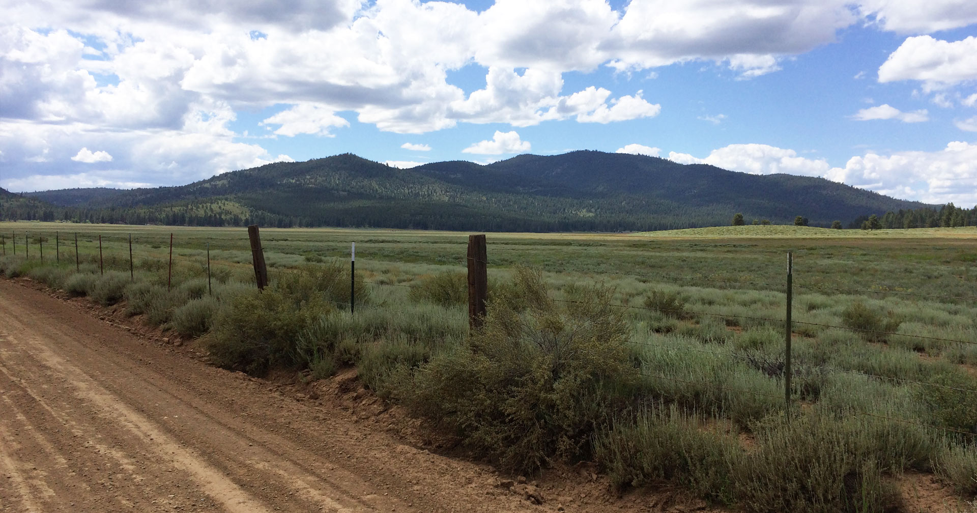 Steps to Developing Raw Land into a Permaculture Homestead