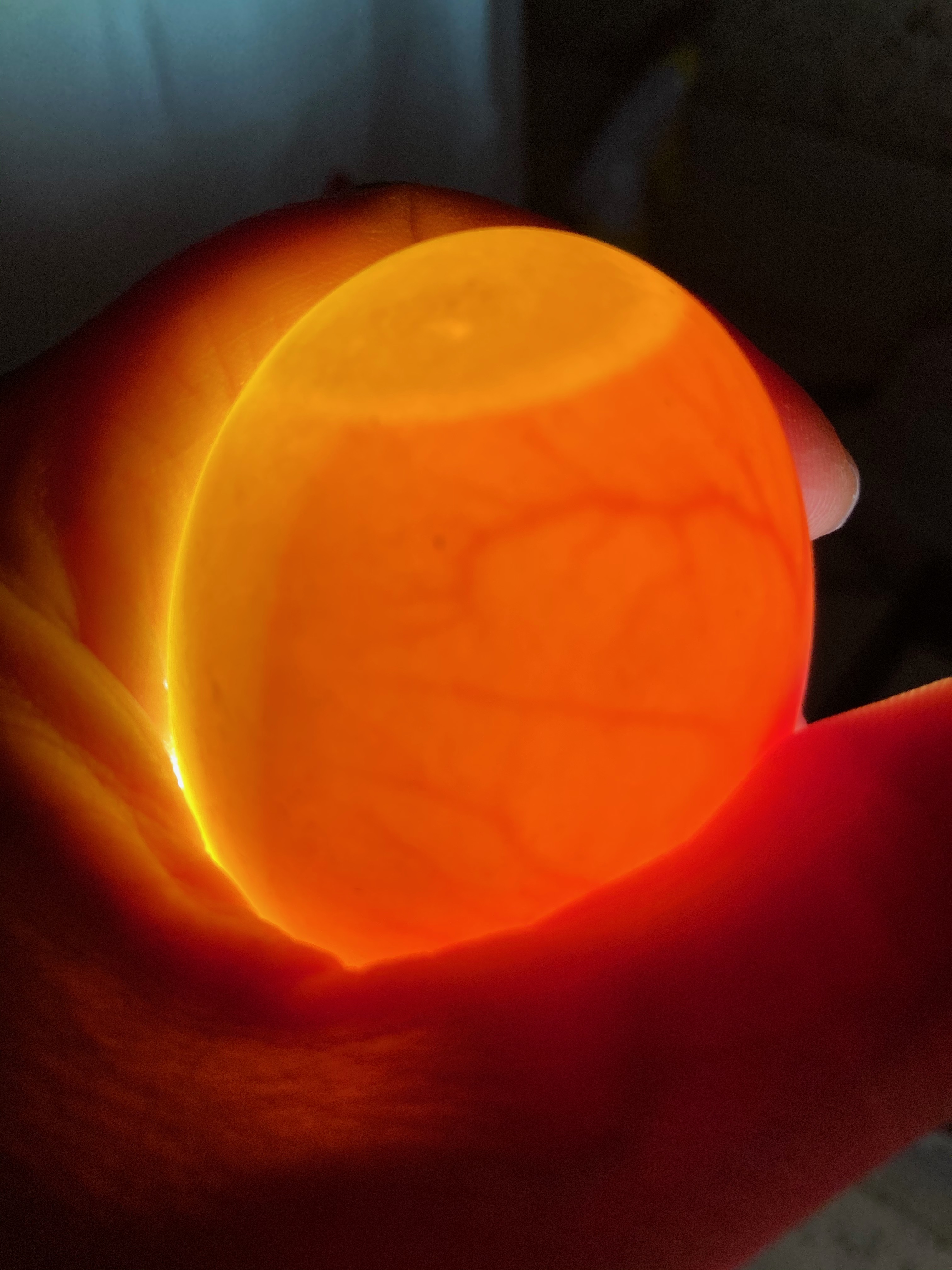 Ginormous air cells in duck eggs? Something's wrong. (ducks and geese