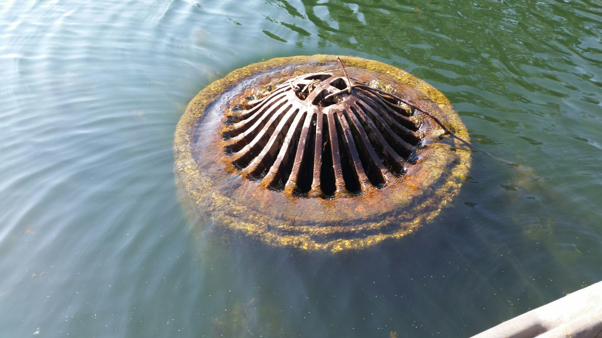 Collect water from a pond overflow pipe? (ponds forum at permies)