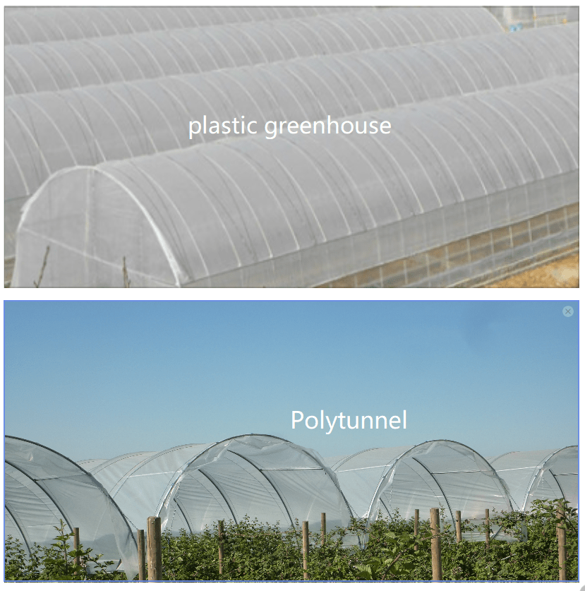 Greenhouse vs. Polytunnel Which One Is Better? (grapes forum at permies)