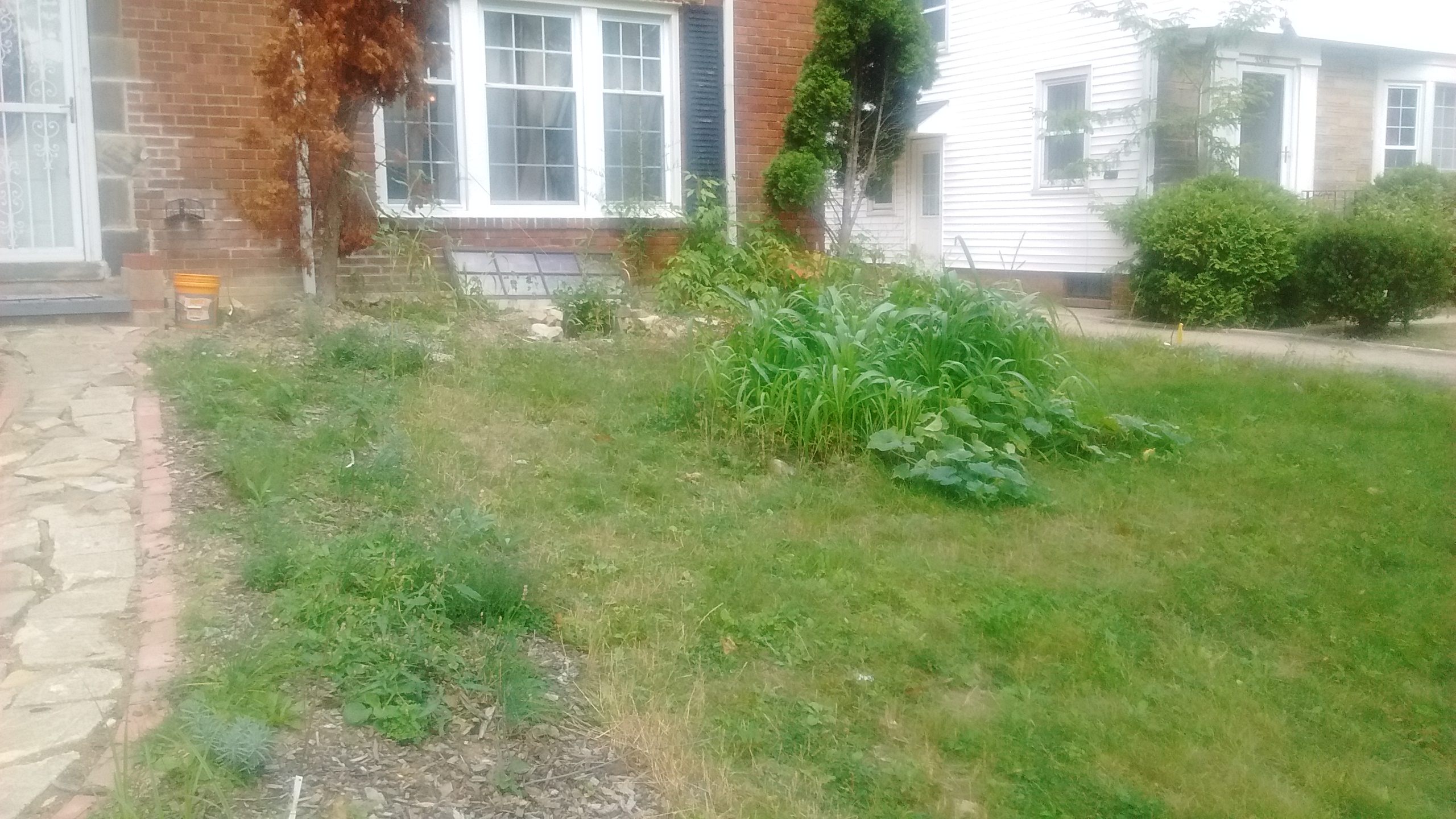 Food Freedom Homestead Season 3 (projects forum at permies)