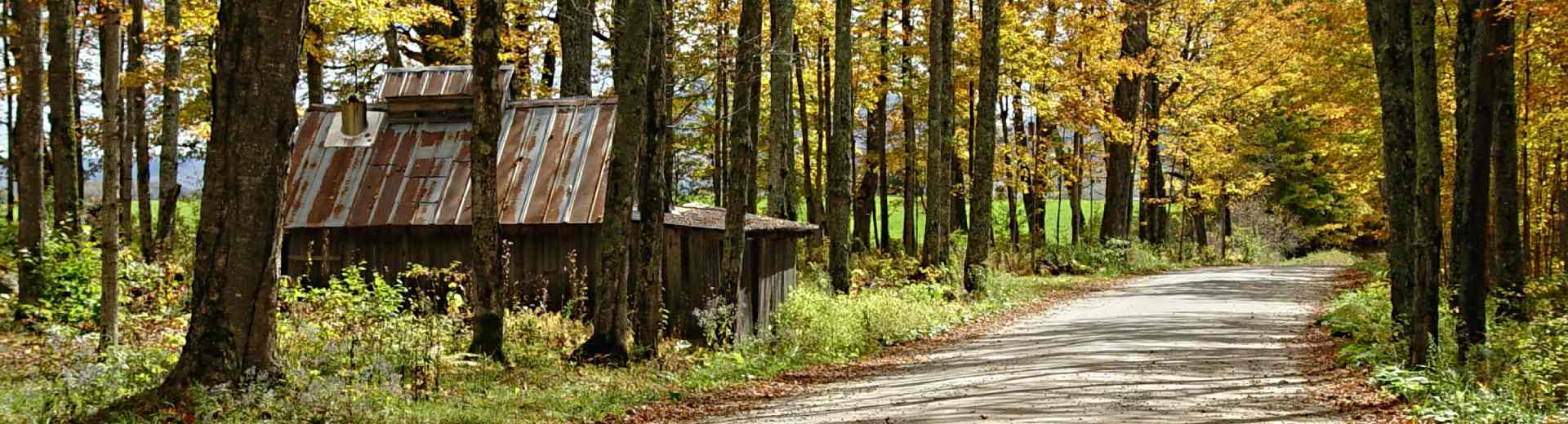 Free Vermont (VT) DMV Permit Practice Tests for 2024