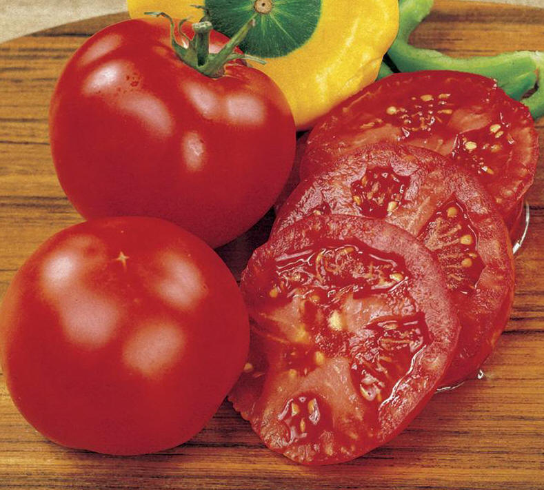 Tomato 'Early Girl' Buy it Now!