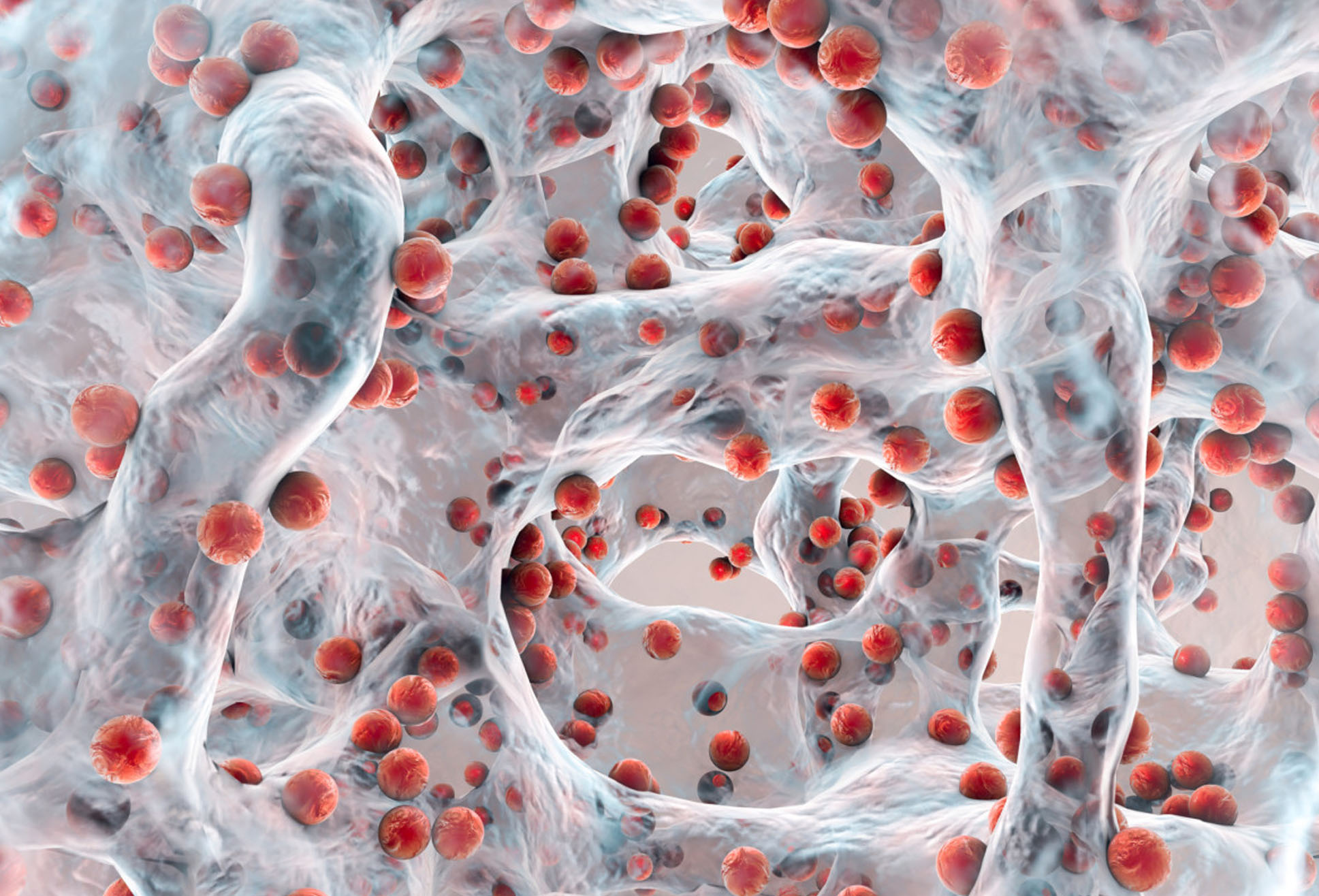 Peroxsil Ag+ Biofilm