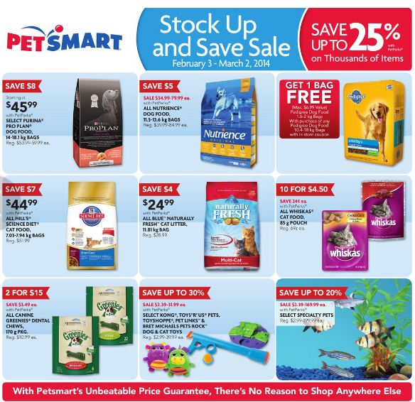How PetSmart is Winning the Marketing Game PERQ