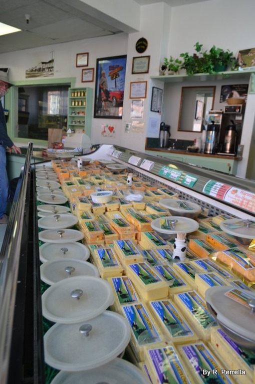 March 12th through 18th 2014 Oregon, Eureka, Avenue of the Giants