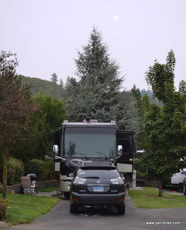 All Who Wander Are Not Lost