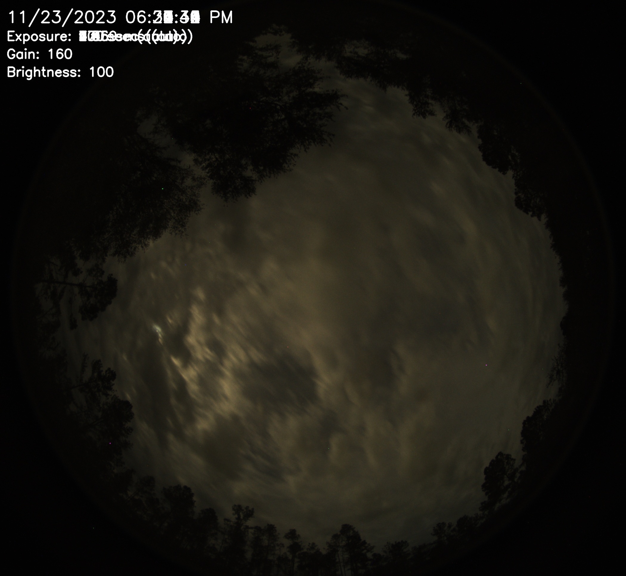 Perry, Florida Weather Conditions